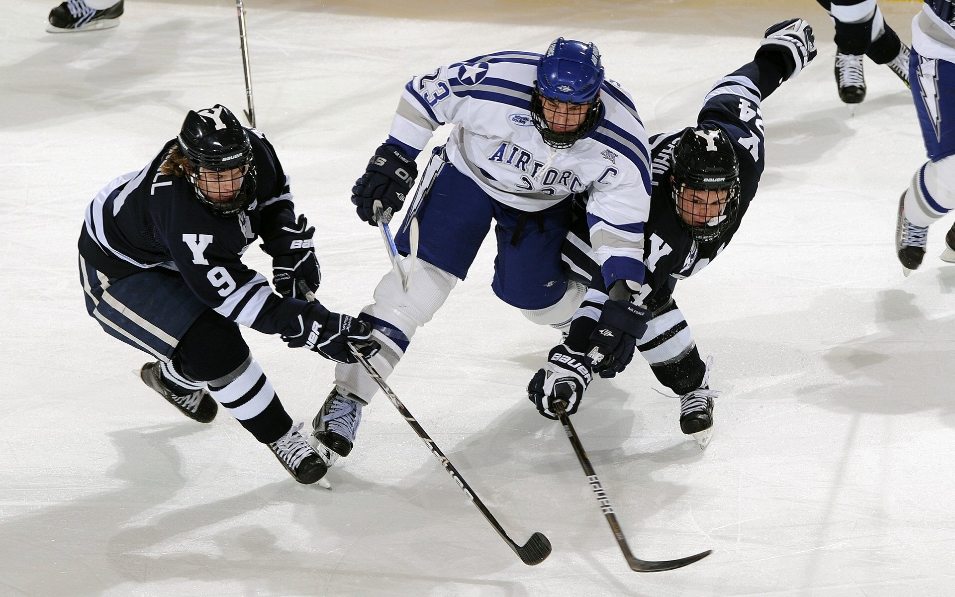 布莱顿中场组织出色，海鸥军团有望挺进前十，布莱顿海湾